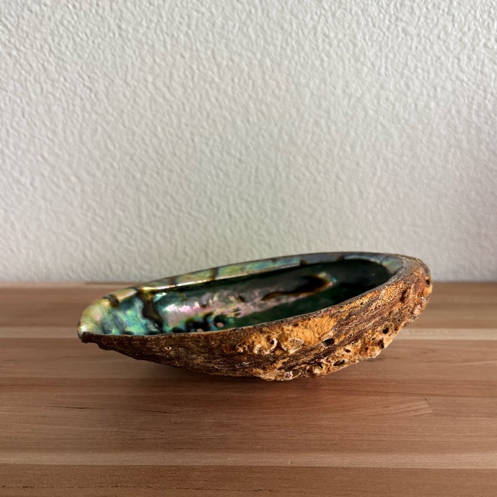 Abalone Shell Dish Catchall - Picture 3 of 4